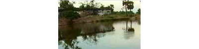 39. திருப்பார்த்தன் பள்ளி